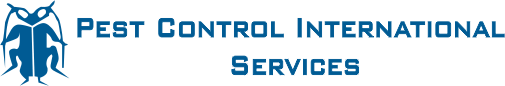 Termite Control Treatment in Chennai